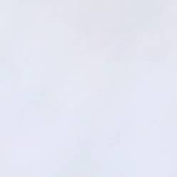 White White