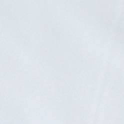 White White