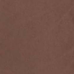 Chocolate Chocolate