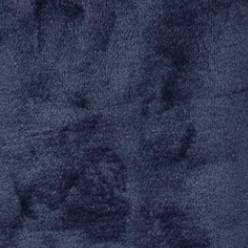 Navy Navy