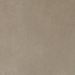 Taupe Taupe