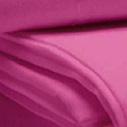 Fuchsia Fuchsia