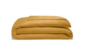 Ochre