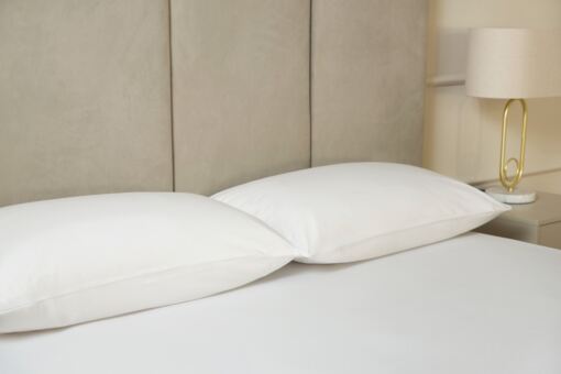 Jersey Cotton Pillowcase Pair
