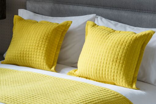 Bright store yellow cushions