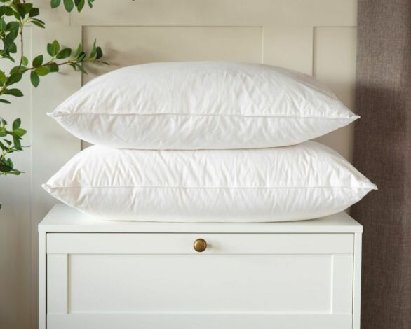 What Type of Pillow Should I Choose?