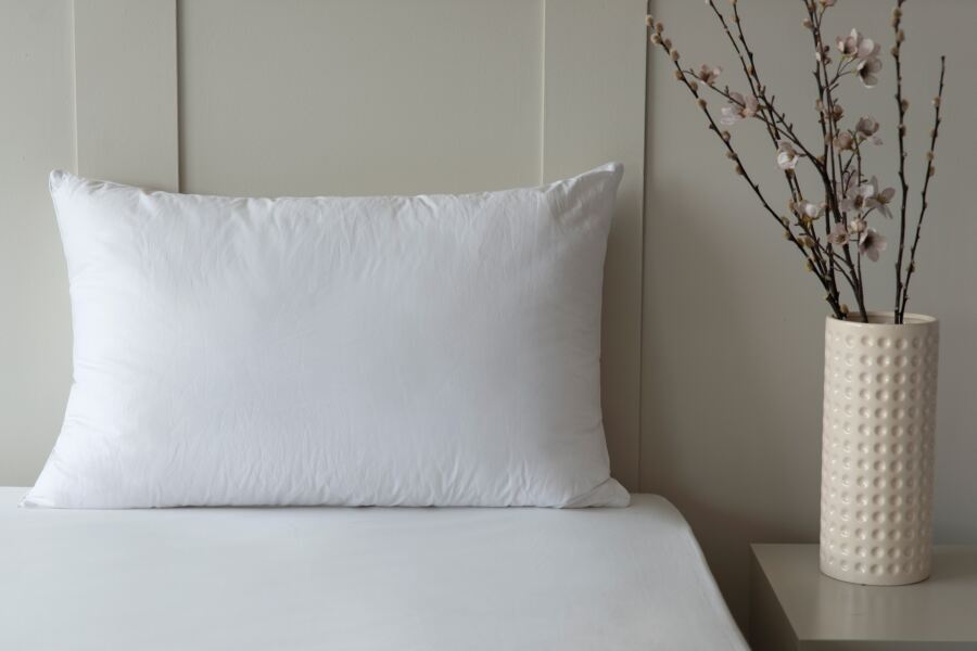 Australian 100% Wool Pillow