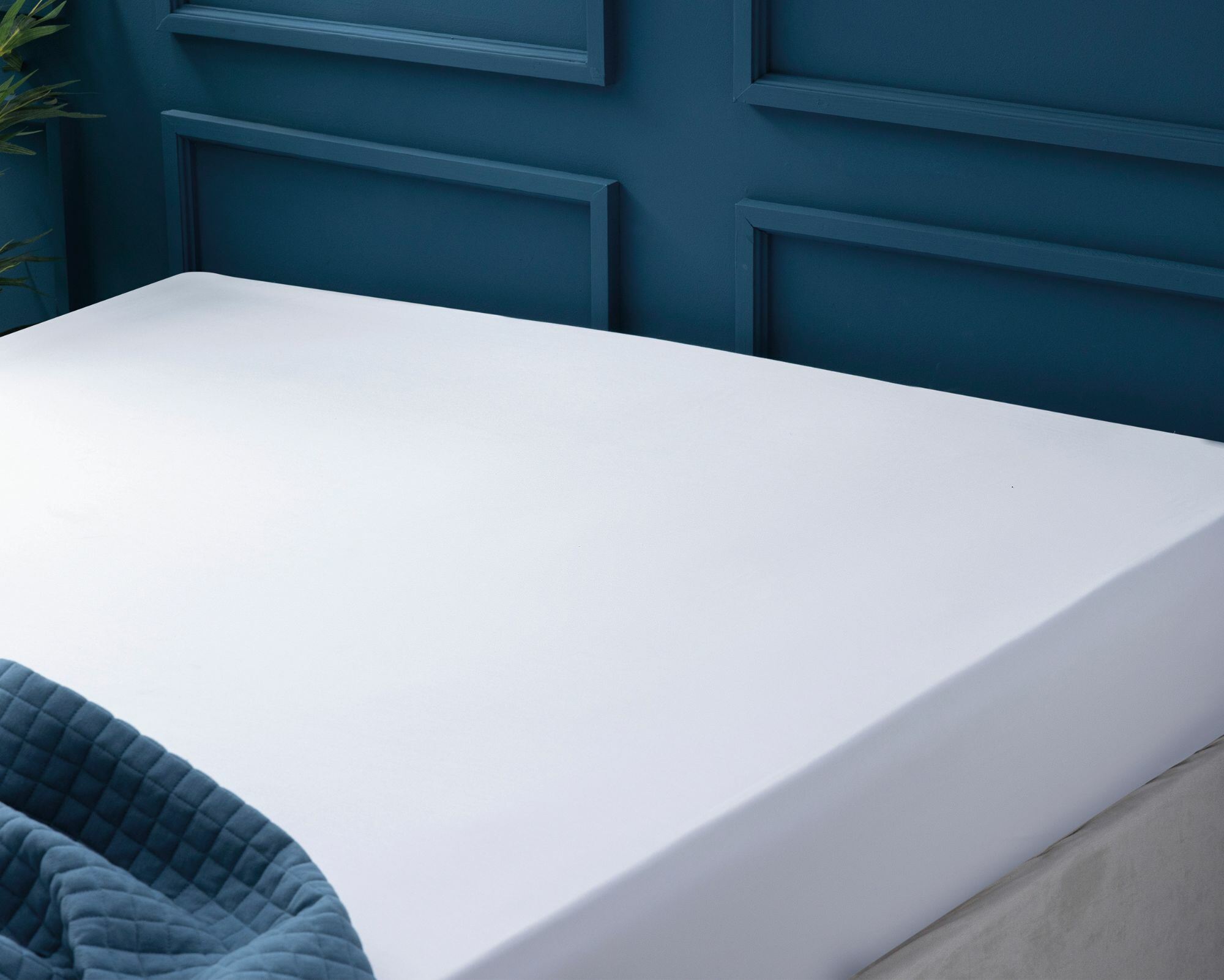 Fitted Sheet