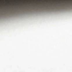 White White