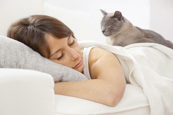 Cat on a bed with a sleeping child