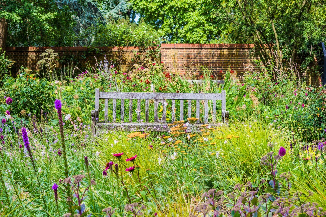 Mini Meadow in your garden