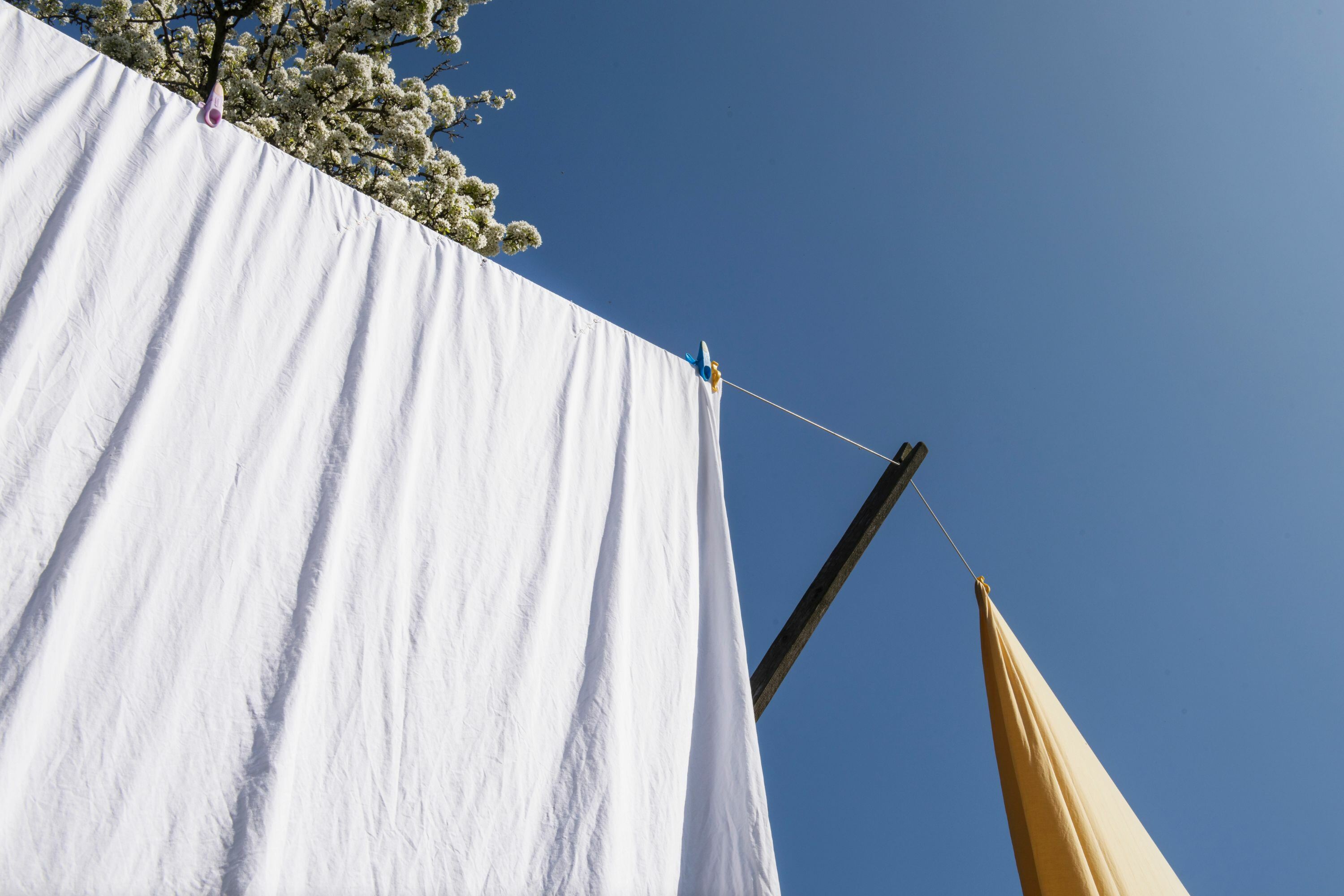 washing_line_1.jpg