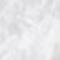 White White