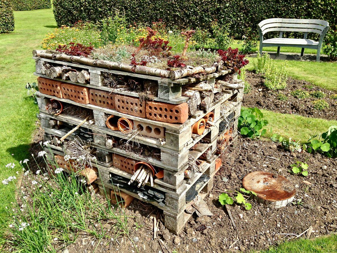 Insect Hotel